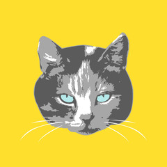 Cats face. Cartoon seamless animal wallpaper