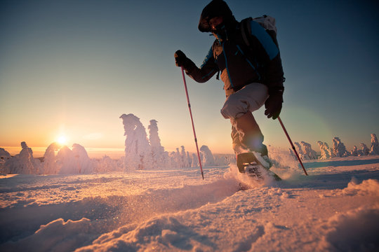 Schneeschuh wandern Harz Winter