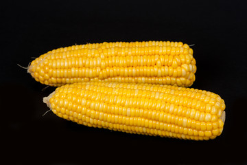 yellow fresh corn  on black background