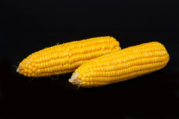 yellow fresh corn  on black background