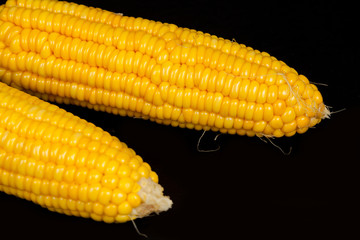 yellow fresh corn  on black background