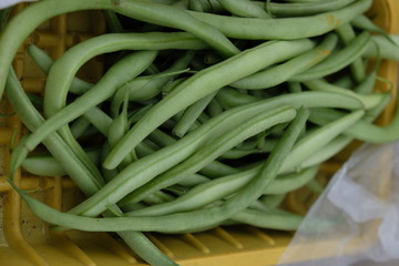haricots verts