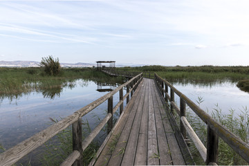 Naklejka premium Footbridge in the Natural Park El Hondo