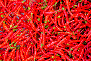 Red Chillies Background color image