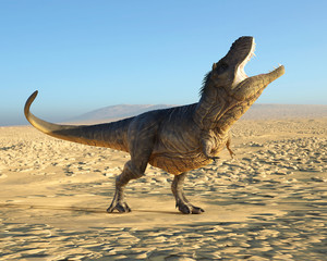 Fototapeta premium tyrannosaurus rex