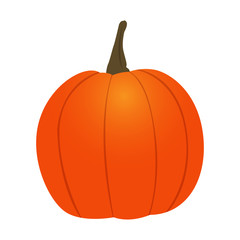 Isolated pumpkin icon on a white background, vector illustration