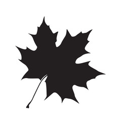Isolated silhouette of a fall leaf, Vector illustration