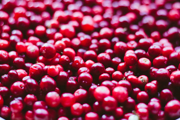 natural sweet burgundy red wallpaper of berry fresh cranberries cranberry close-up
