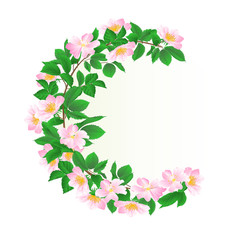 Floral round  frame with wild Roses  vintage  festive  background vector illustration editable hand draw