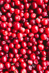natural sweet burgundy red wallpaper of berry fresh cranberries cranberry close-up