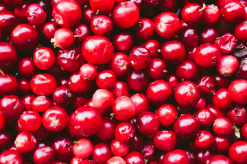 natural sweet burgundy red wallpaper of berry fresh cranberries cranberry close-up