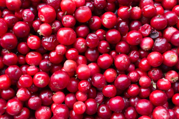natural sweet burgundy red wallpaper of berry fresh cranberries cranberry close-up