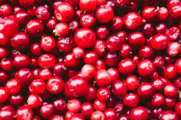 natural sweet burgundy red wallpaper of berry fresh cranberries cranberry close-up