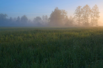Fototapeta na wymiar Światło poranka