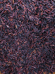 purple black jasmine rice or rice berry