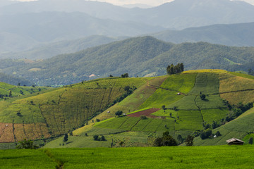 Rice Terraces at sunset time and in rainy season. Best feeling in nature and travel