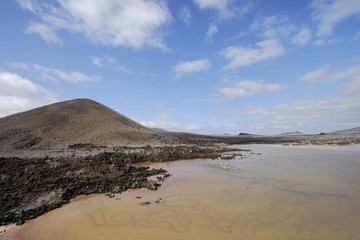 Fototapeta na wymiar Punta Cormorant landscape, Floreana, Galapagos Islands