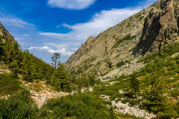 Naklejka na ściany i meble Bergkette