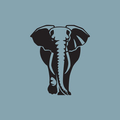 elephant on blue background vector illustration