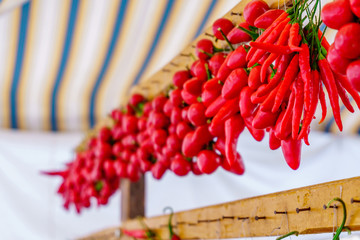 Rows of chilli peppers hang together