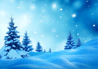 Christmas winter background with fir tree and blurred bokeh