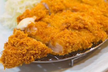 Fried cutlet pork (Tonkatsu : Japanses foods) on white plate with cabbage