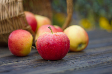 red and yellow apples are in the basket on wooden background