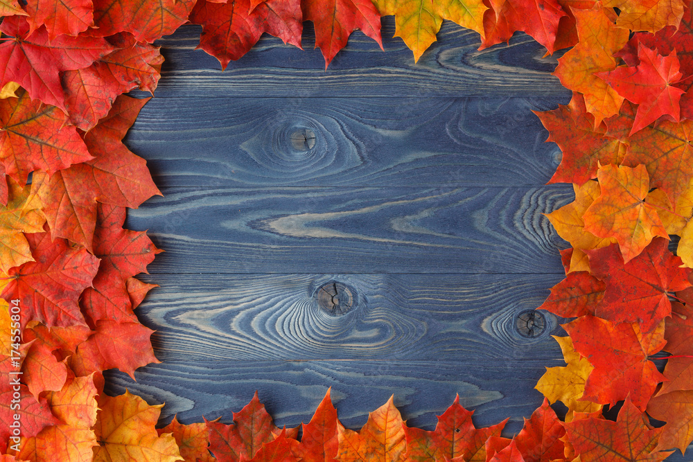 Sticker fall background frame with maple leaves on blue