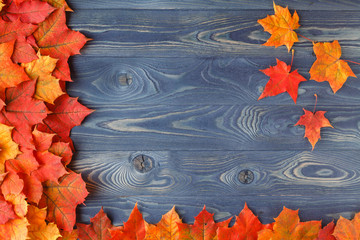 colored leaves on a wooden table, autumn leaf