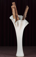 still life with a glass vase and branches in it