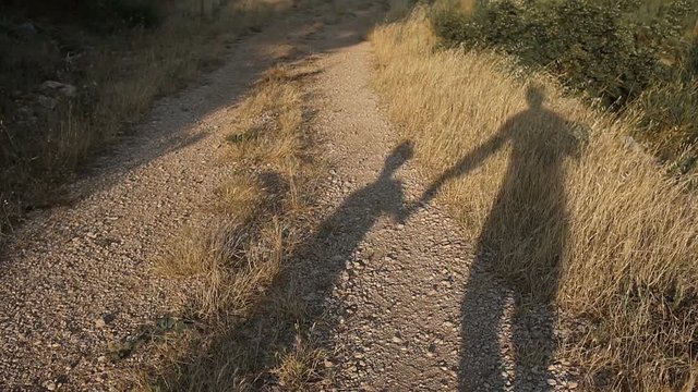Silhouette of the shadow of two people in the park, like a father and son in the sunset hold hands