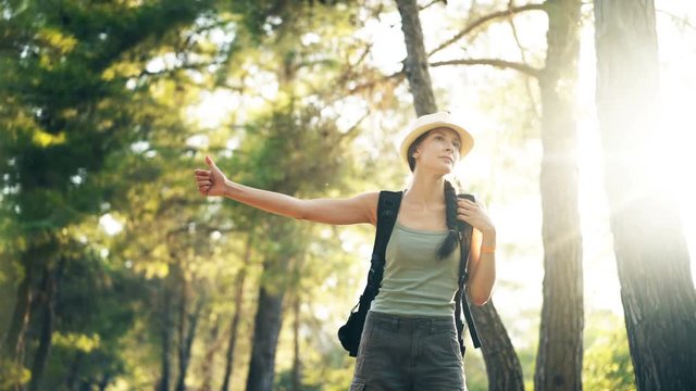Traveler woman hitchhiking on a sunny forest road. Tourist girl looking for ride to start her journey