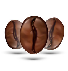 Coffee beans isolated on white background. Vector illustration. EPS10.