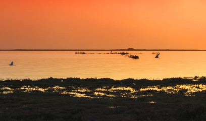 Magic sunset in Djerba, Medenine, Tunisia, North africa.