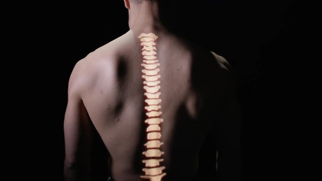 Illuminated spinal column projected onto the back of naked male model