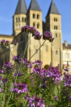 Basilique du Sacr&eacute;-Coeur (Paray-Le-Monial)