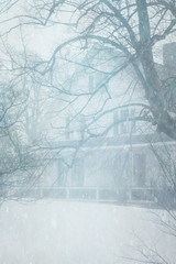 Fog and snow around a old homestead.