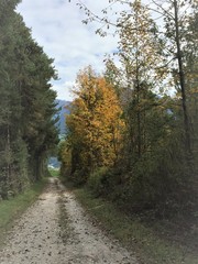 Der gerade Weg in den Herbst