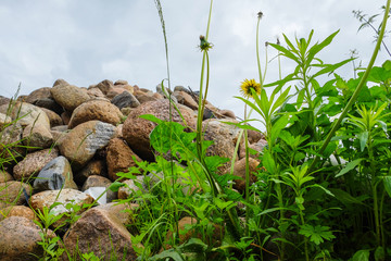beach of large pebbles