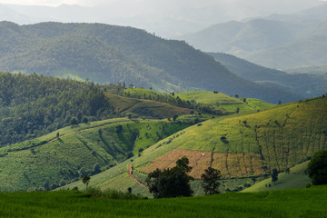 Obraz premium Rice Terraces at sunset time and in rainy season. Best feeling in nature and travel