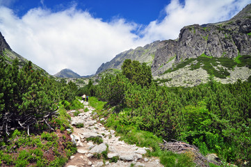 Fototapeta na wymiar trek trekking mountains Tatras
