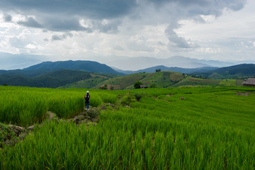 Rice Terraces at sunset time and in rainy season. Best feeling in nature and travel