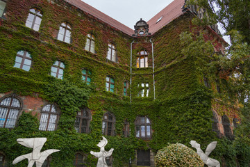 National Museum in Wroclaw