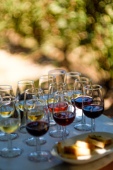 Wine tasting Santorini