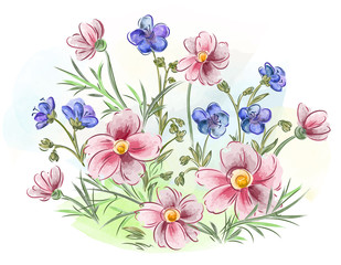 Watercolor flowers violets and pansy and leaves on meadow
