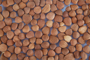 Amigdalina - dried apricot kernels. 