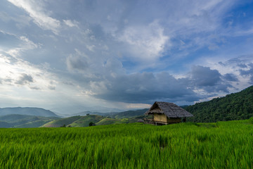 Fototapeta na wymiar Rice Terraces at sunset time and in rainy season. Best feeling in nature and travel