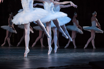 tenderness, agility, choreography concept. dance of little swans performed by four attractive and graceful ballerinas with thin aesthetic legs in light pink pointe shoes