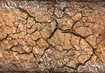 Cracked Soil Texture