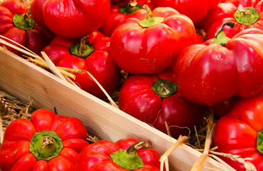 Colorful pumpkins at a country fair